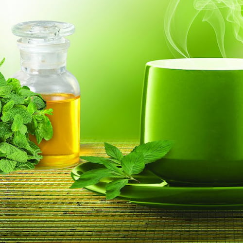 تصویر 1 از اسانس نعناع غلیظ + طعم دهنده تازه و خوش بو